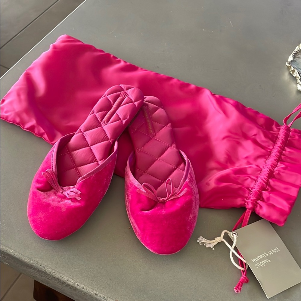 Banana Republic Pink Velvet Slippers